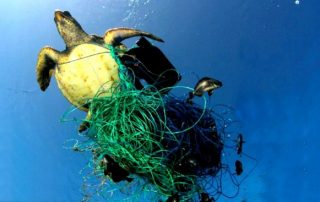 Plastika Zagadjuje Okeane