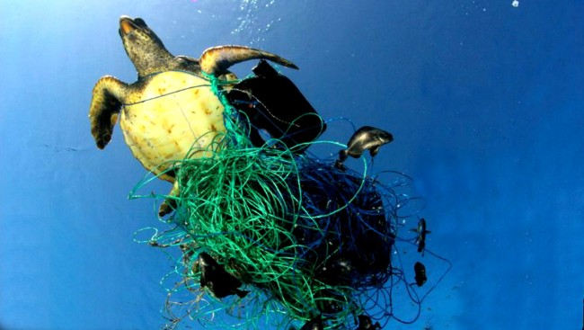 Plastika Zagadjuje Okeane